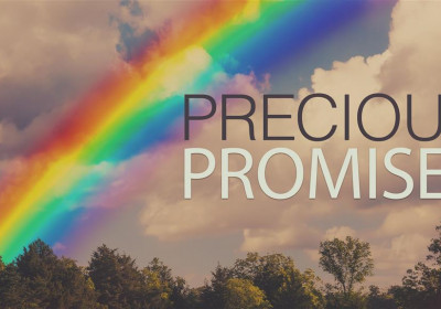 The Purposes of God's Promises